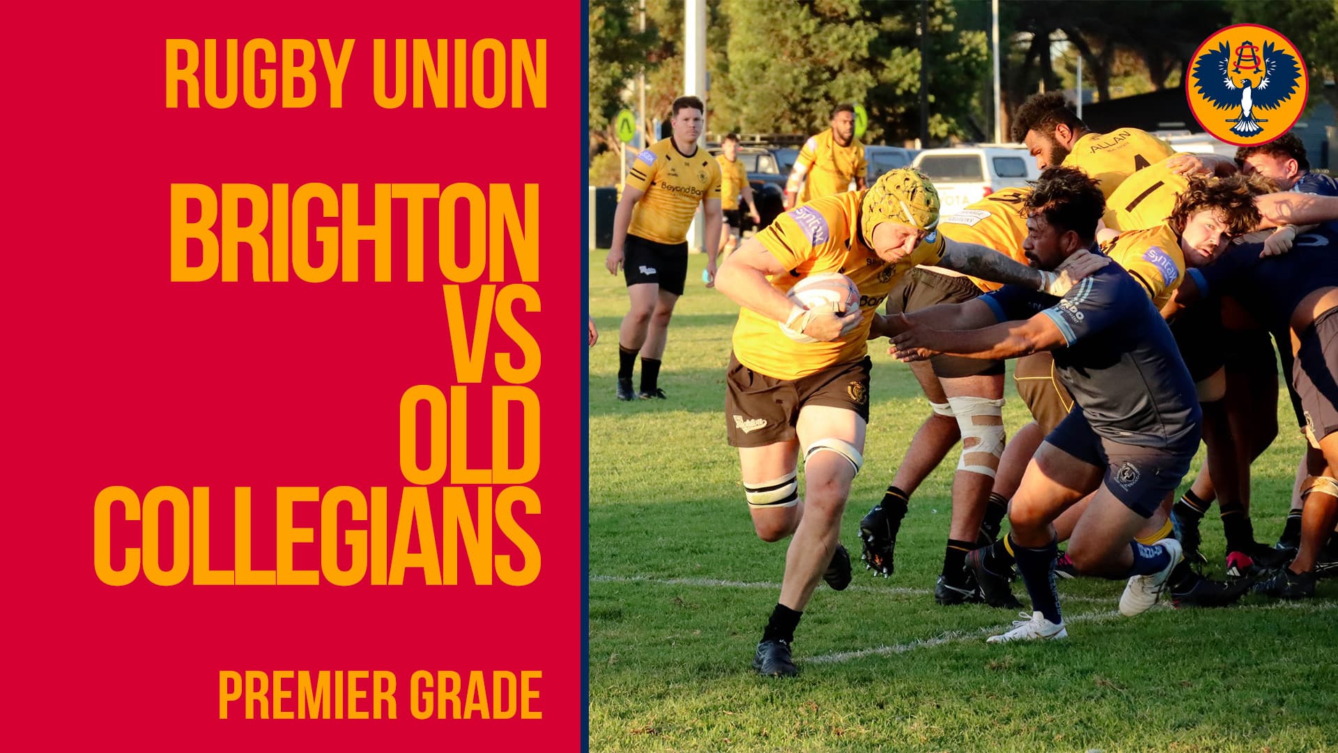RUSA Premier Grade | Brighton vs Old Collegians | Round 10