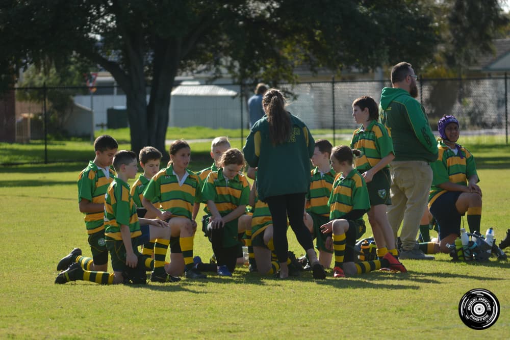 Woodville Wasps Juniors 2019