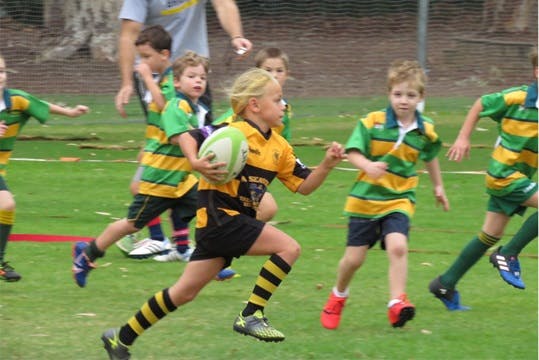 RugbySA Under 7s